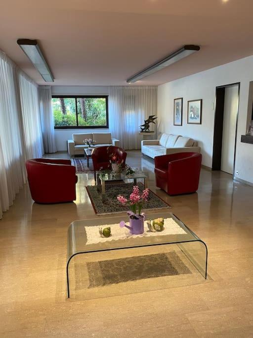 Апартаменты Ascona: Residenza Sabrina,App 2.5 Locali E Piscina Экстерьер фото
